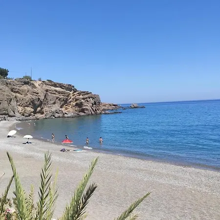 Blue Paradise